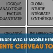 HBDI modéle HERMANN vente cerveau total