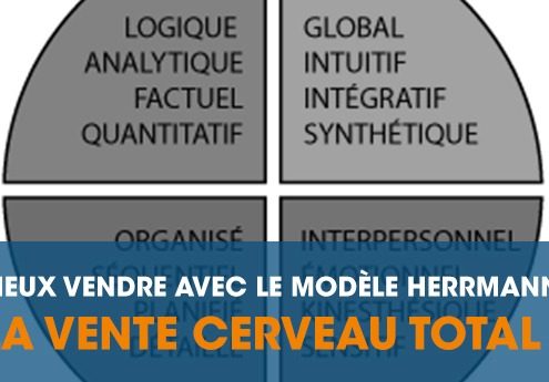 HBDI modéle HERMANN vente cerveau total