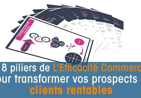 efficacité commerciale