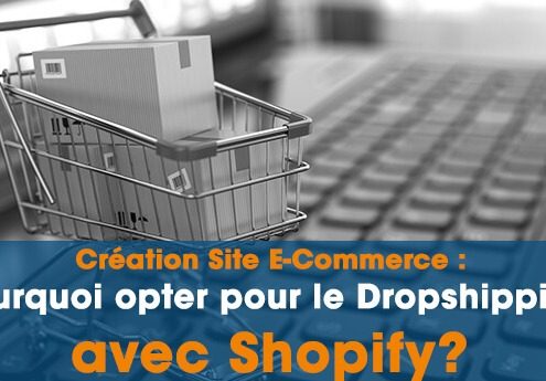 Site E Commerce Dropshipping