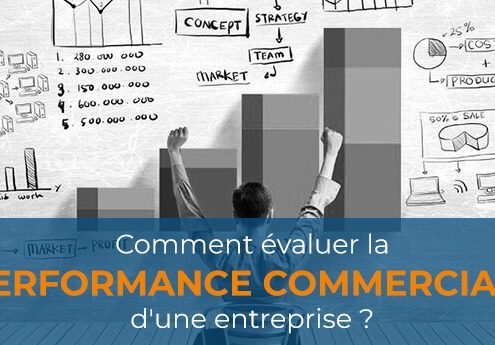 performance commerciale d'une entreprise