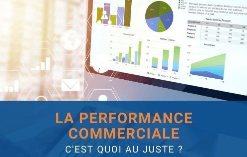 performance commerciale