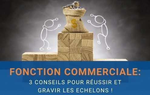 fonction commerciale